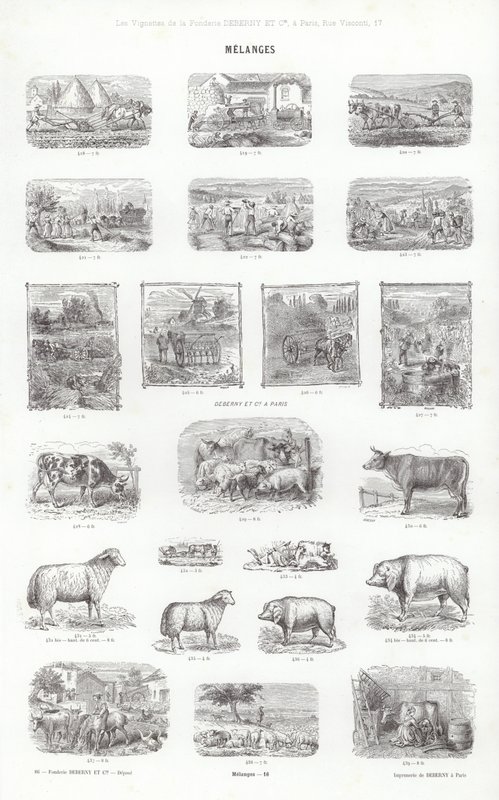 Pagina da Vignettes Typographiques da French School