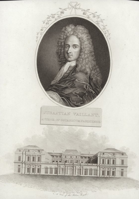 Sébastien Vaillant da French School