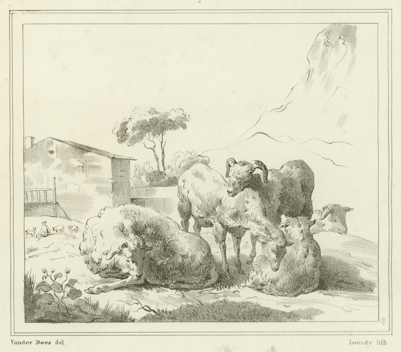 Pecore in un paesaggio da French School