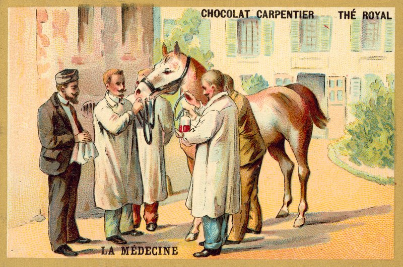 Prelievo di sangue da un cavallo da French School