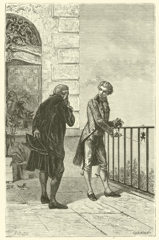 La rana di Galvani (incisione) da French School