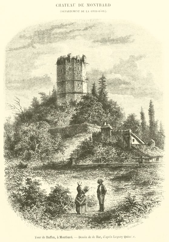 Torre di Buffon, a Montbard (incisione) da French School