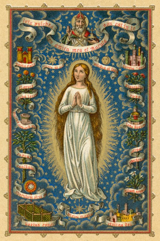 Vergine Immacolata da French School