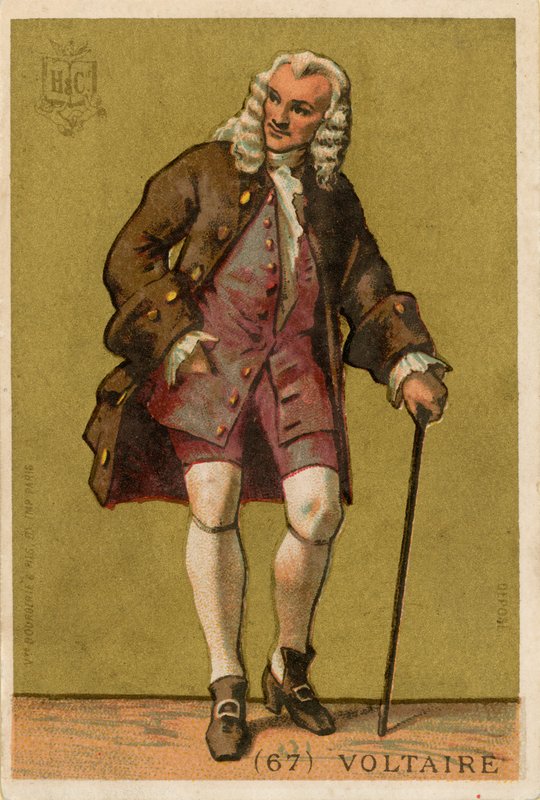 Voltaire da French School