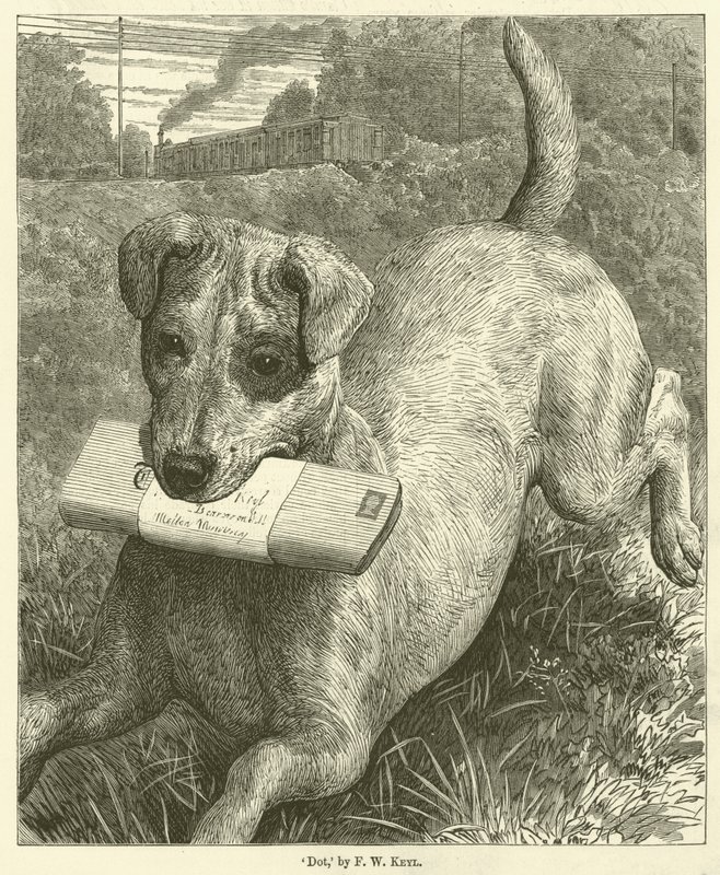 Cane da Friedrich Wilhelm Keyl