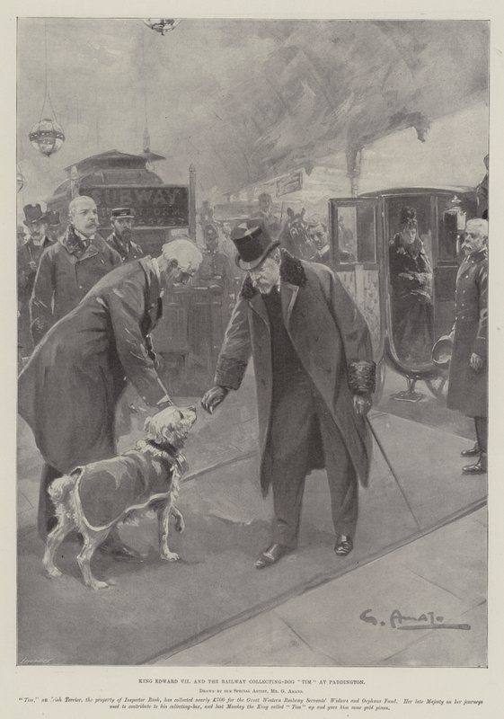 Re Edoardo VII e il cane da raccolta ferroviaria Tim a Paddington da G.S. Amato