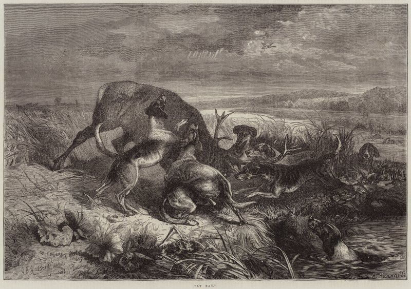 Alle strette da George Bouverie Goddard