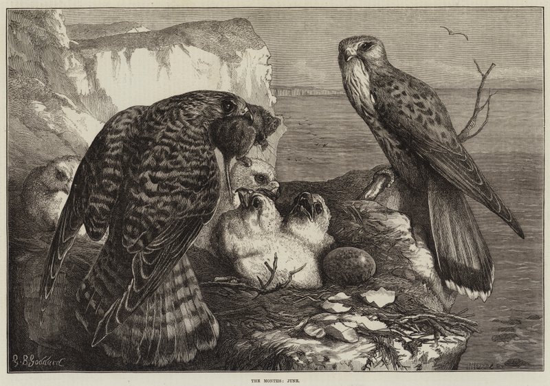 I mesi, giugno da George Bouverie Goddard