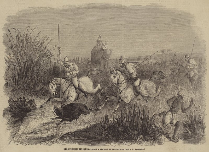 Caccia al cinghiale in India da George Francklin Atkinson