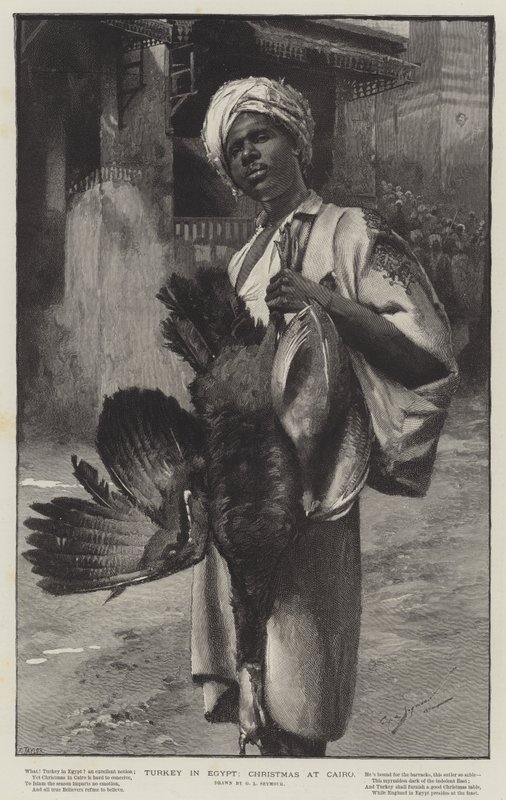 Turchia in Egitto, Natale al Cairo da George L. Seymour