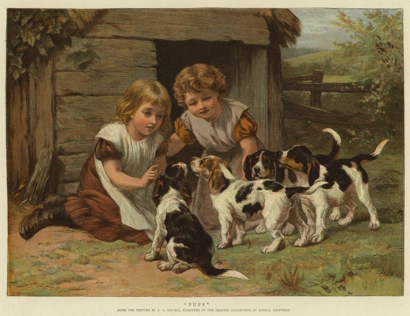Cuccioli da George Augustus Holmes