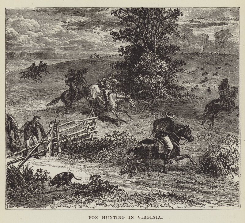 Caccia alla volpe in Virginia da George Augustus Sala
