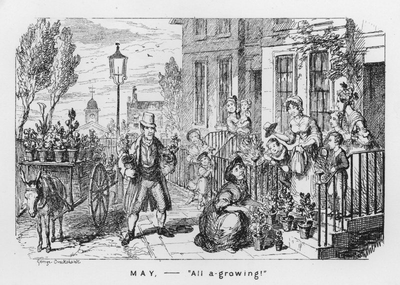 Maggio, Tutto Cresce (incisione) da George Cruikshank