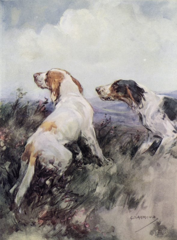 Setter da George Denholm Armour