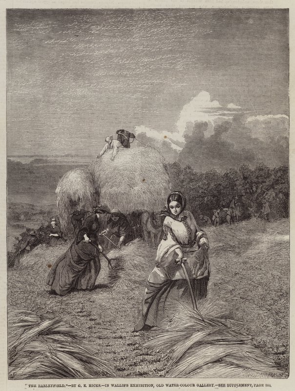 Il campo d