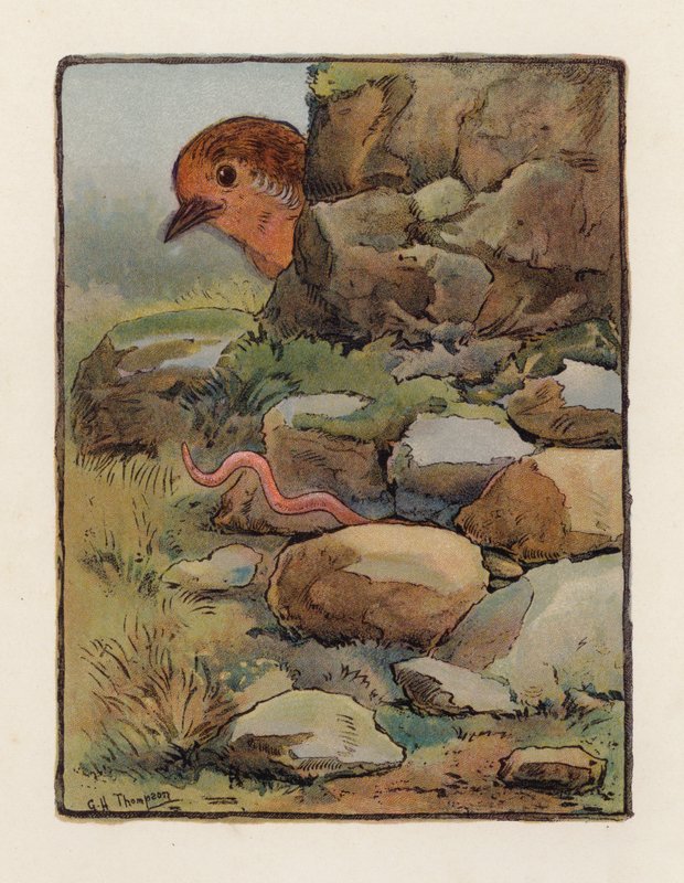 Il verme da George Henry Thompson