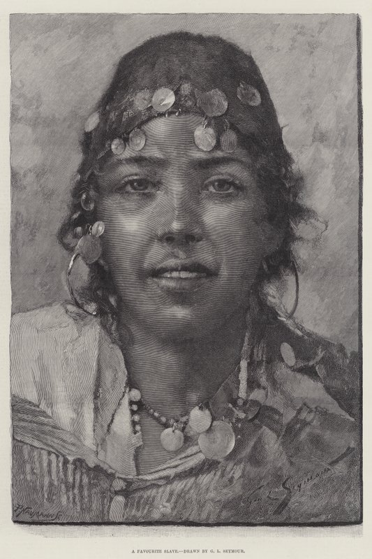 Uno schiavo preferito da George L. Seymour