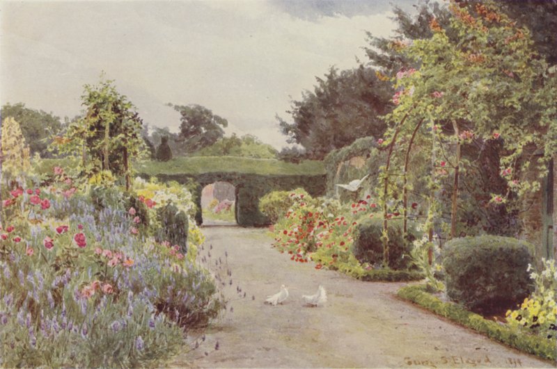 Rose Cinesi e Lavanda, Palmerstown da George Samuel Elgood