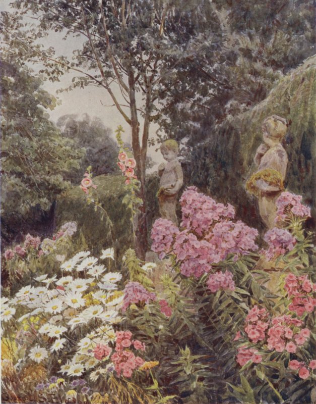 Phlox e Margherita da George Samuel Elgood