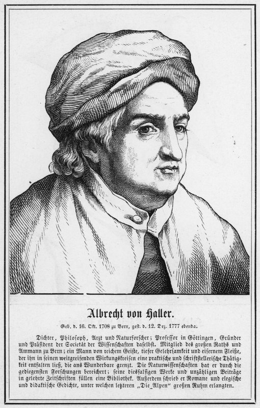 Albrecht von Haller da German School