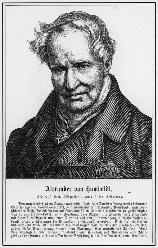 Alexander von Humboldt (incisione) da German School