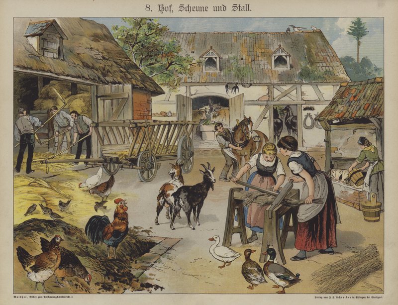 Fattoria da German School