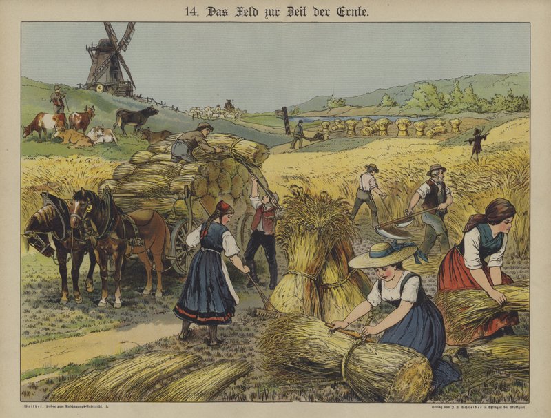 Raccolto (litografia a colori) da German School