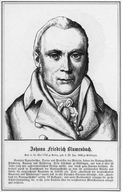 Johann Friedrich Blumenbach (incisione) da German School