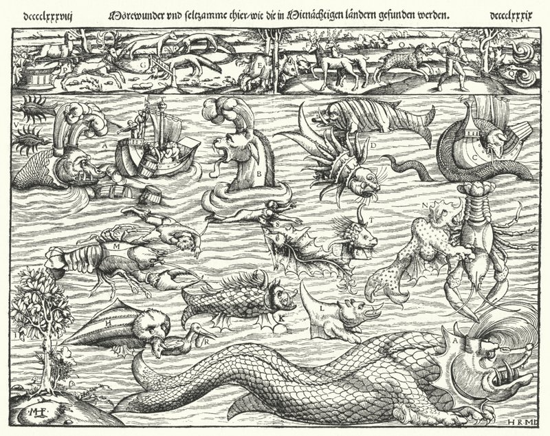 Creature marine da German School