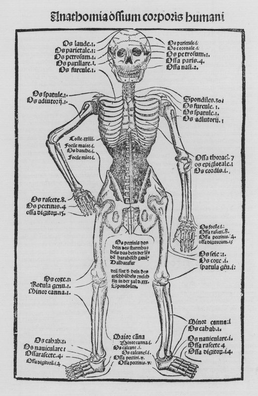 Il Libro di Cirurgia di Hieronymus Brunschwig da German School