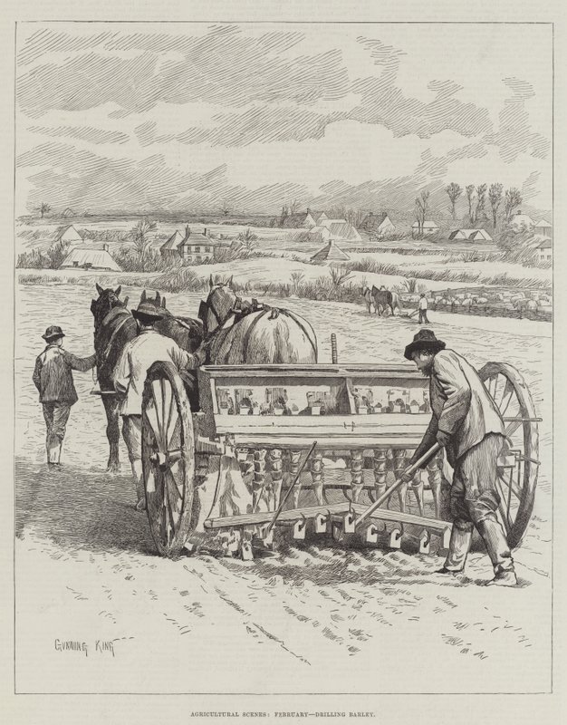 Scene agricole, febbraio, semina dell