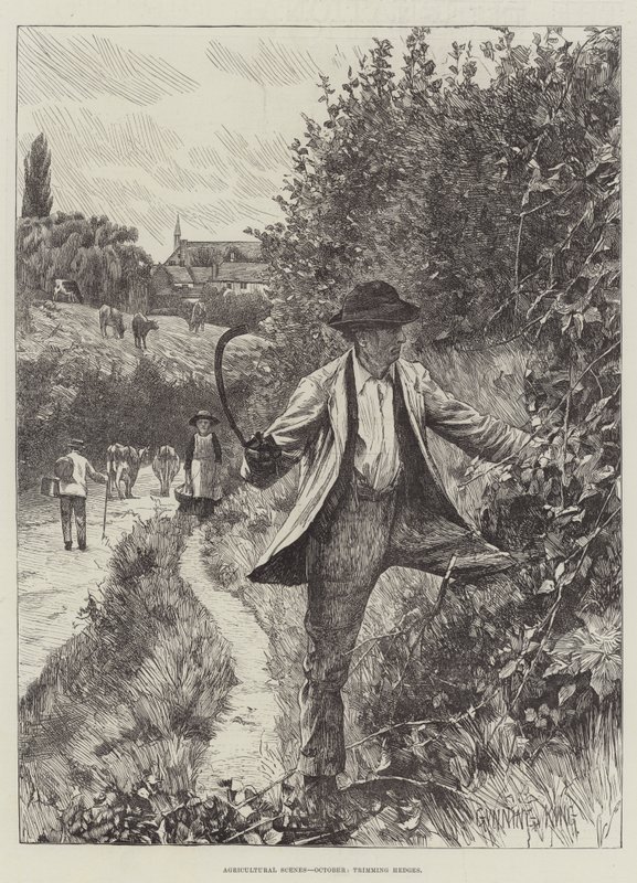 Scene Agricole, Ottobre, potatura delle Siepi da Gunning King