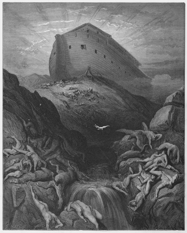 La colomba inviata dall