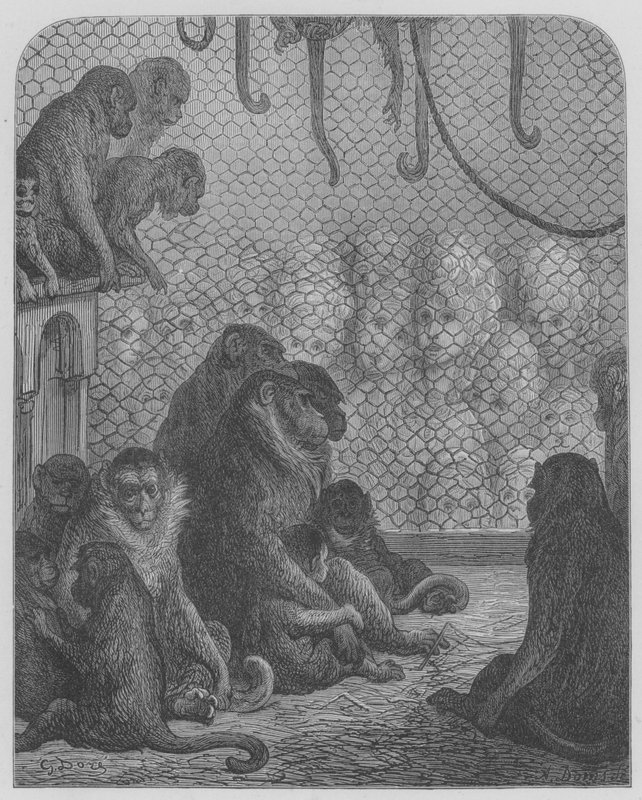 Giardino Zoologico, Le Scimmie da Gustave after Dore