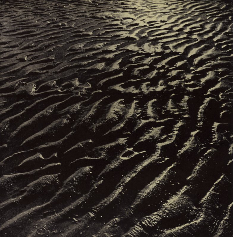 ... la sabbia del mare a coste, Coleridge (foto b/n) da Harold Burdekin