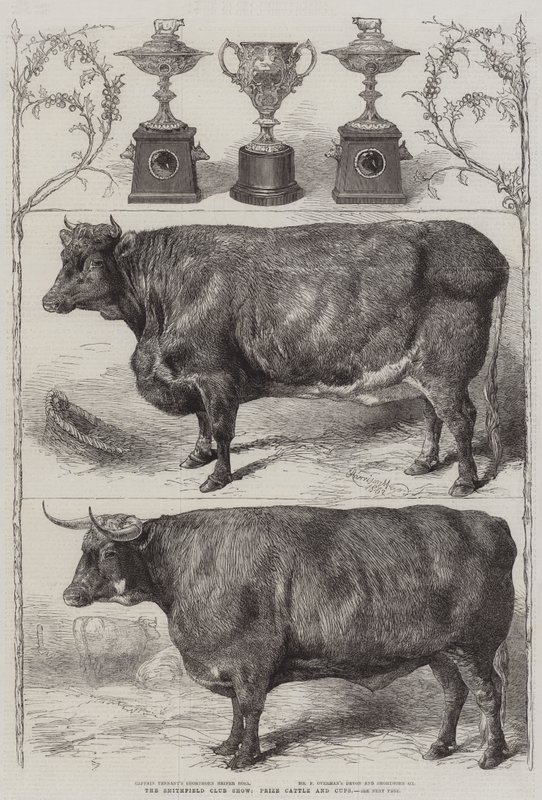 Mostra del bestiame del Smithfield Club, bestiame premiato e coppe da Harrison William Weir