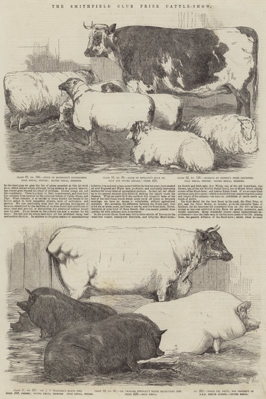 La Mostra del Bestiame del Smithfield Club da Harrison William Weir