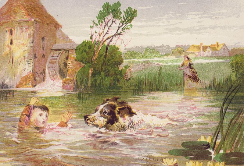 Cane che salva la vita di Charley da Harrison William Weir