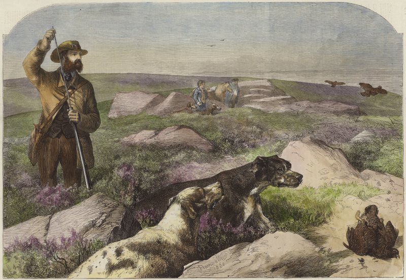 Caccia alla pernice da Harrison William Weir