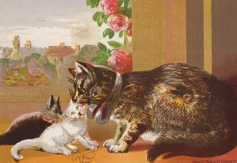 La gatta e i suoi gattini (litografia a colori) da Harrison William Weir