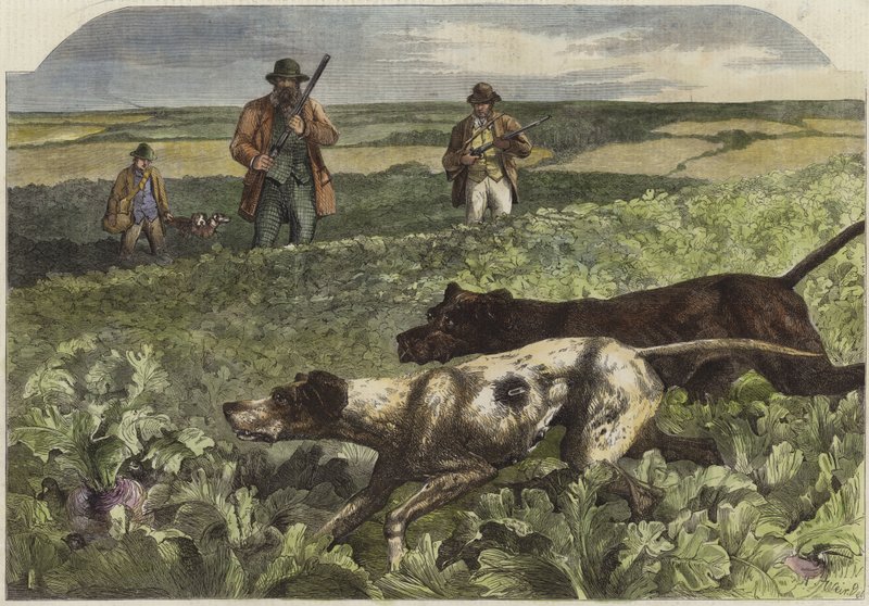Il primo di settembre da Harrison William Weir