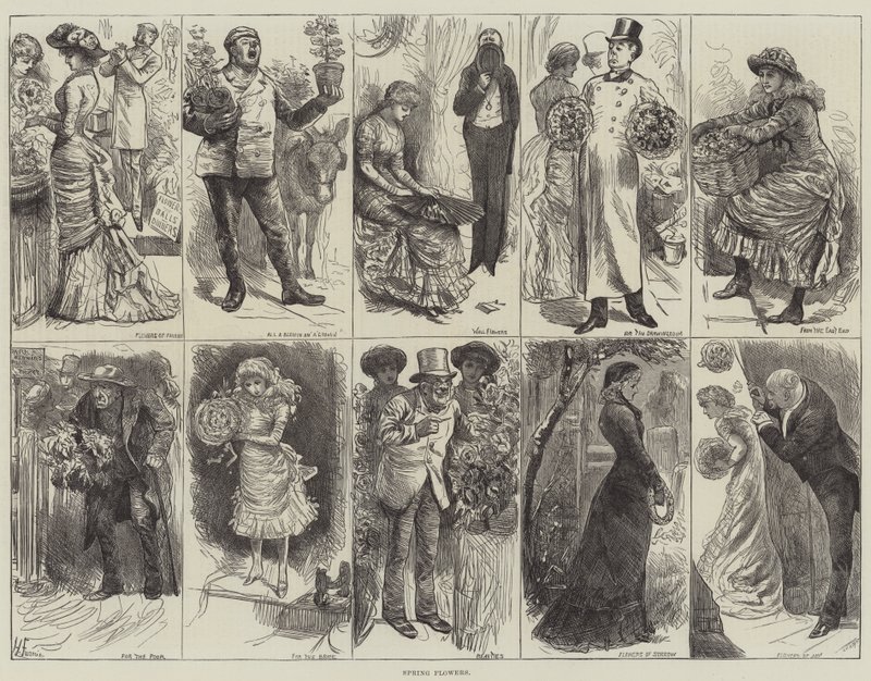 Fiori primaverili da Harry Furniss