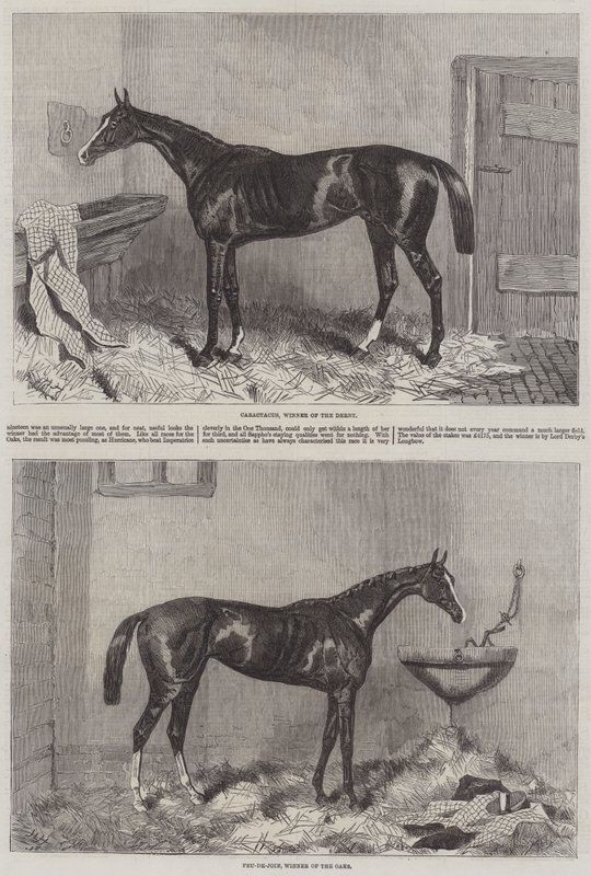 Vincitori del Derby e delle Oaks da Harry Hall