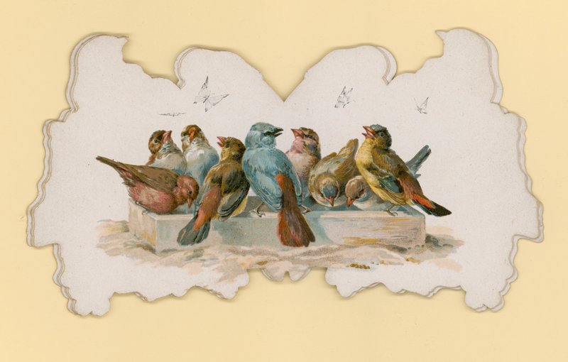 Uccelli (litografia a colori) da Hector Giacomelli