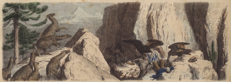 Le Ande cilene (incisione colorata) da Heinrich Leutemann