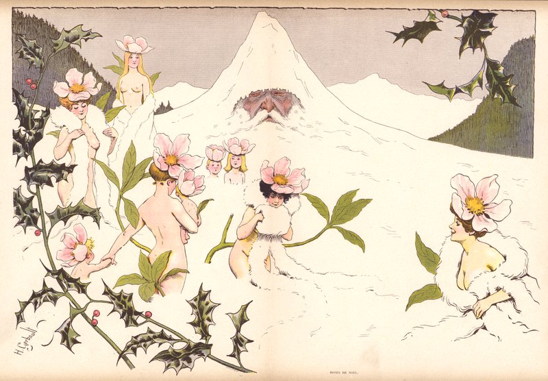 Rose di Natale da Henri Gerbault