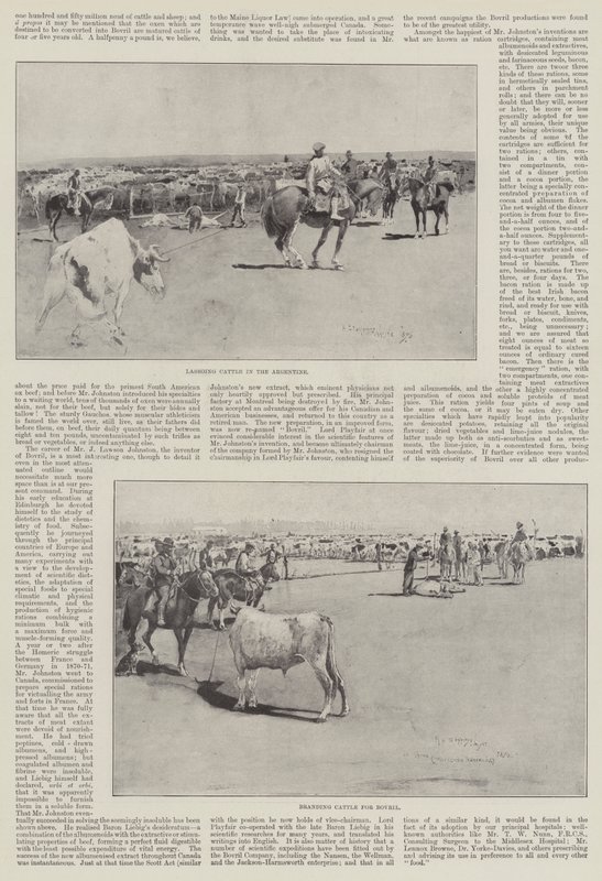 Bovini in Argentina da Henry Charles Seppings Wright