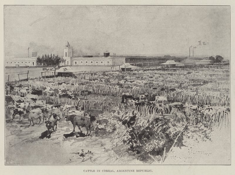 Bovini nel Corral, Repubblica Argentina da Henry Charles Seppings Wright