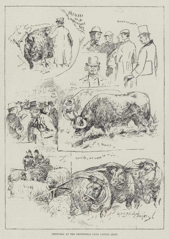 Schizzi alla mostra del bestiame del Smithfield Club da Henry Charles Seppings Wright