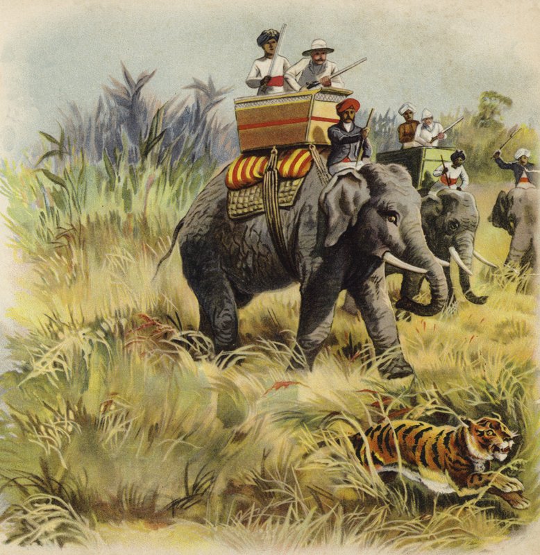 Il Principe di Galles a caccia di tigri in India da Henry Payne